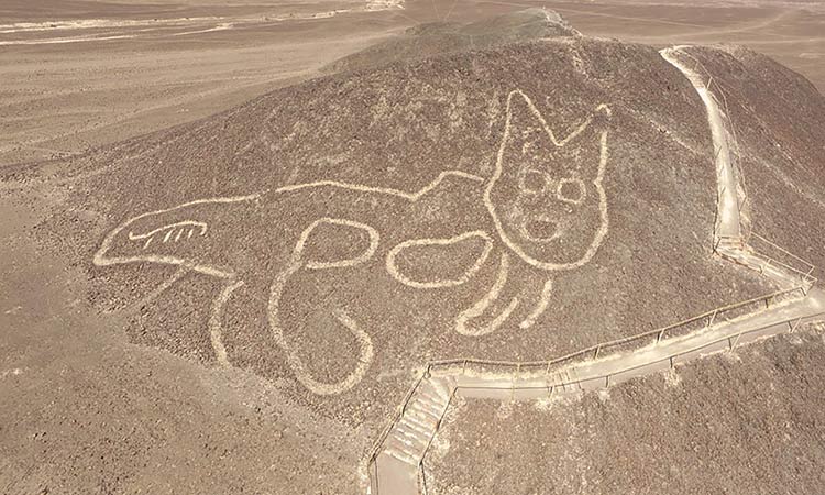 Peru unveils giant cat etching at famous Nazca site - GulfToday