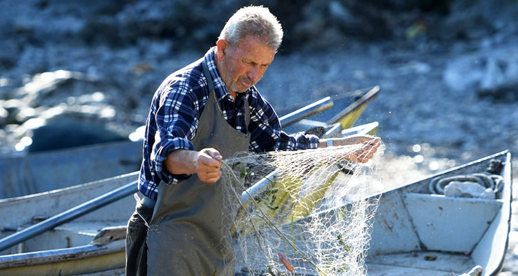Fishy tacks: poaching threatens Balkans' biggest lake - GulfToday