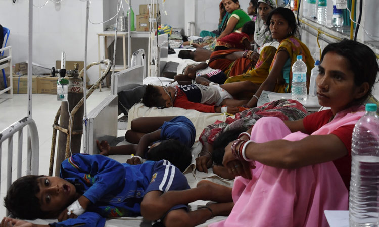 Poverty, not lychees, the real culprit in Indian 'brain fever' outbreak -  GulfToday