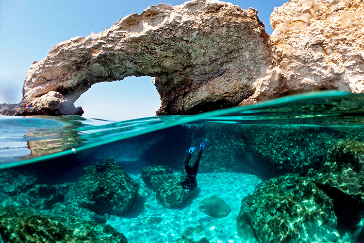 Τα κοράλλια της Κύπρου βρίσκονται σε κίνδυνο λόγω της κλιματικής αλλαγής