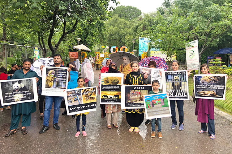 Pak residents stage protest against animal cruelty outside Islamabad Zoo -  GulfToday