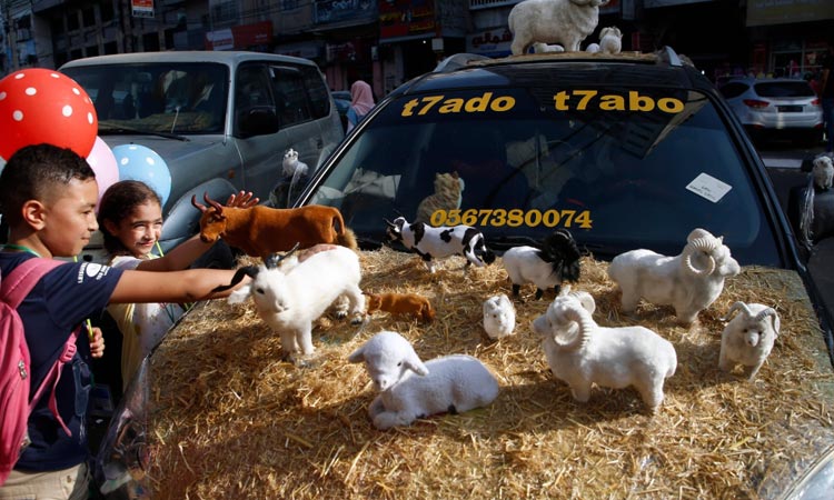 Gazans too poor to afford sheep for Eid sacrifice under blockade, Israel  cash row - GulfToday