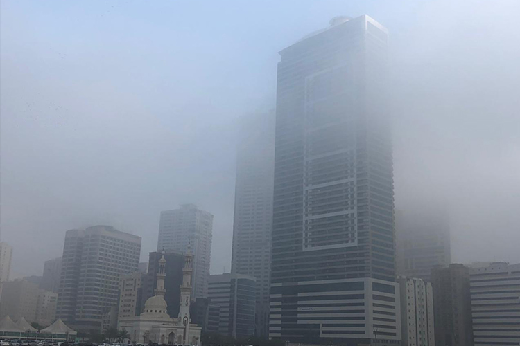 VIDEO: Dense fog engulfs UAE, slows down traffic in some areas - GulfToday