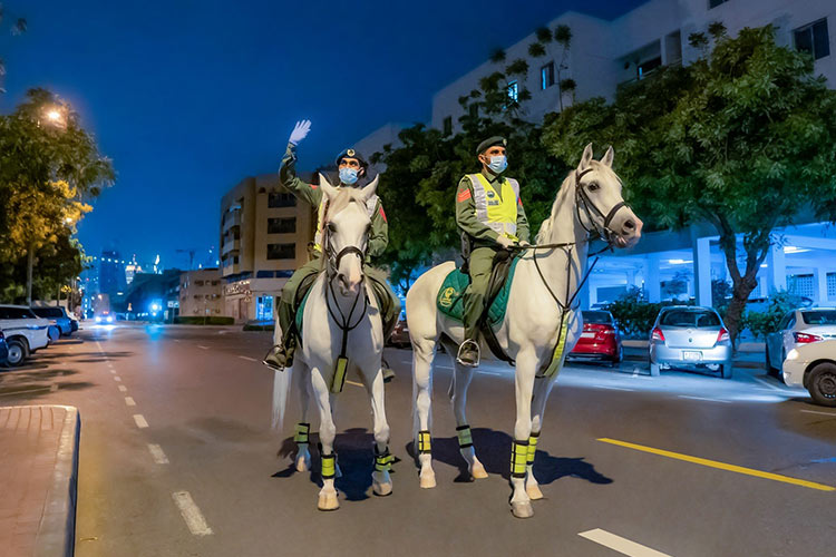 Dubai Mounted Police nabs gang of thieves in a moving car - GulfToday