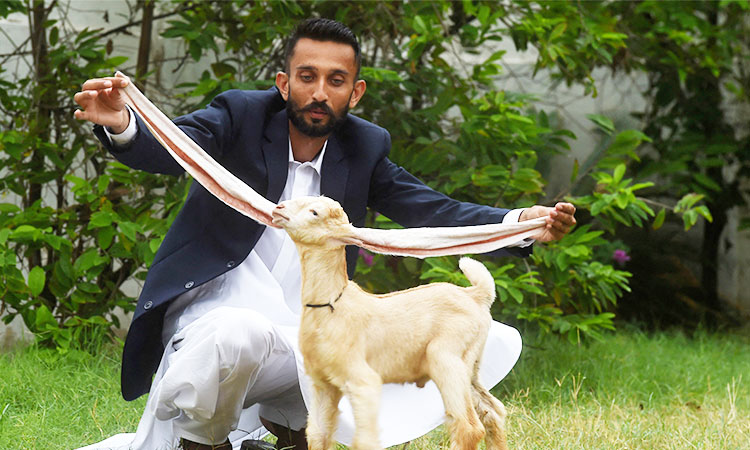 Long-eared kid goat takes Pakistan by storm - GulfToday