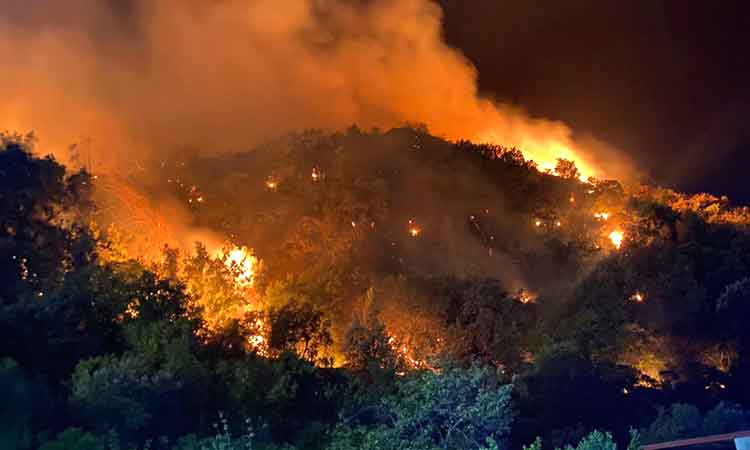 Sicily-Italy-Wildfires-July26-main1-750