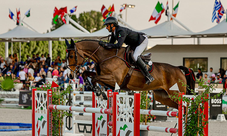 Horse-Dubai