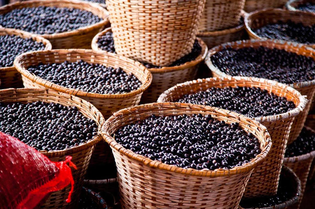 Baskets of acai berries up for sale at a market.