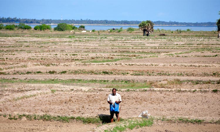 Drought has affected over 600,000 people directly along with agriculture, water supply, irrigation chain. 