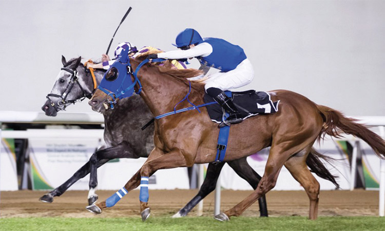 Horse-Race-Mazur