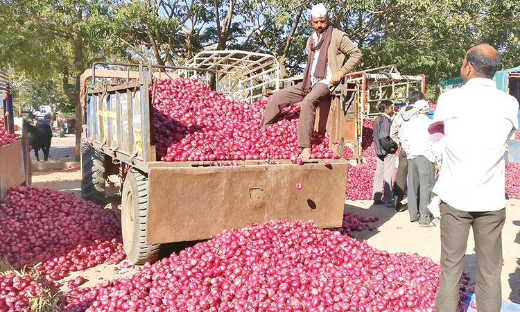 India cuts onion stockholding by 50%