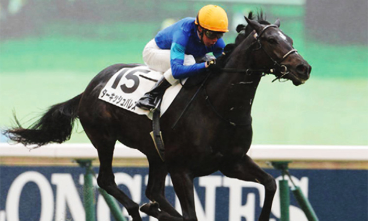 Turkish-Palace-Horse-Race