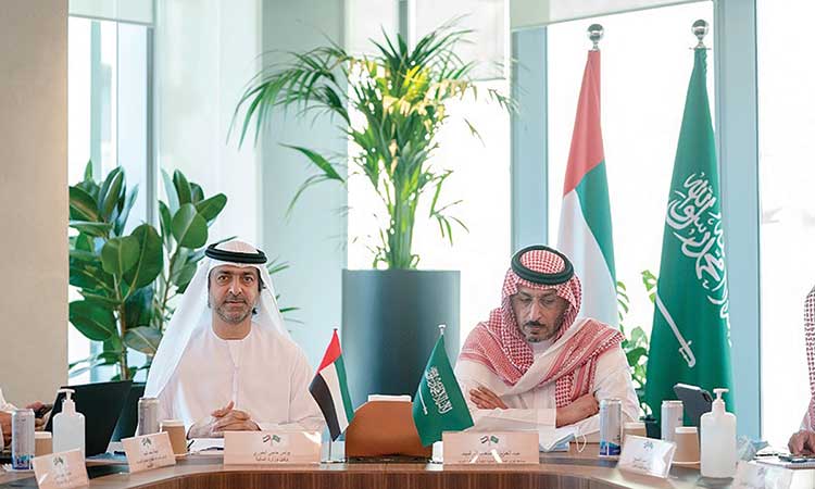 Officials during the Saudi-Emirati Coordination Councils meeting.