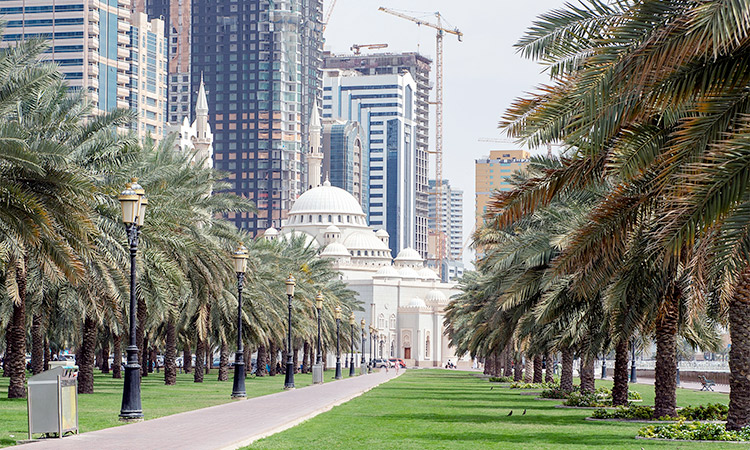 Residential and commercial regions in the heart of the emirate attract most customers.