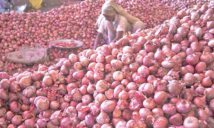 India-onions-750