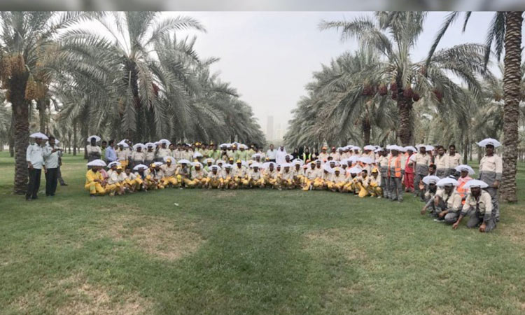 Sharjah-Municipality-workers