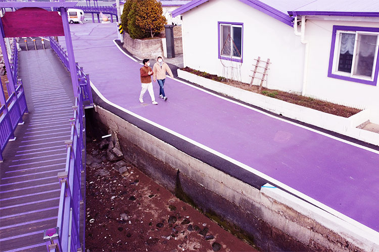 purple-korea2