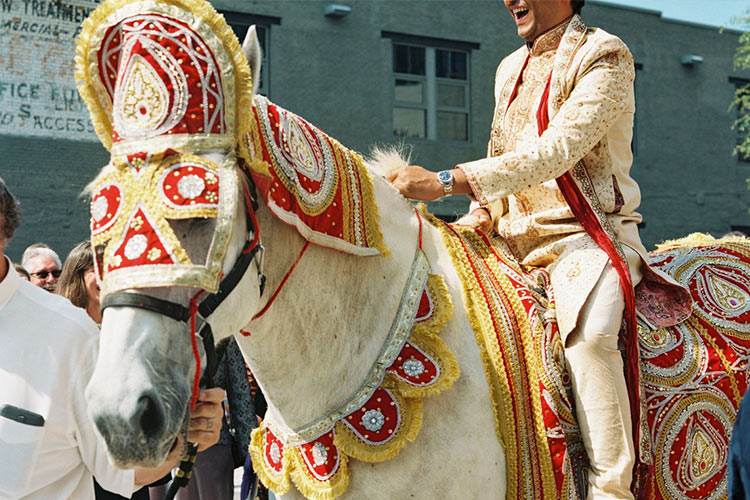 horse-wedding-1