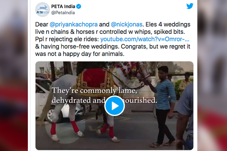 PETA_india