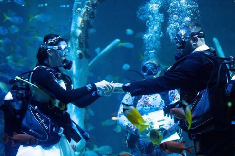 underwater-marriage