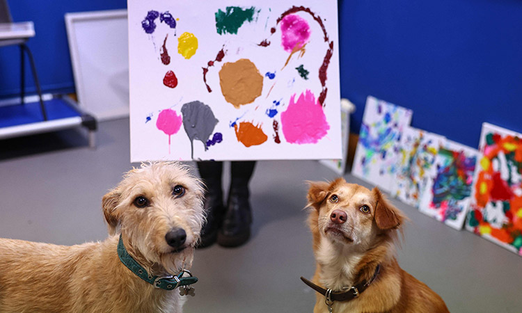 dogs painting 