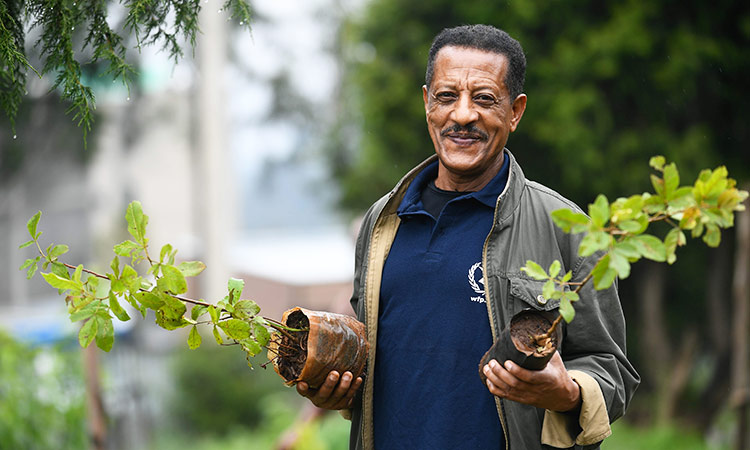 Ethiopia plants 1