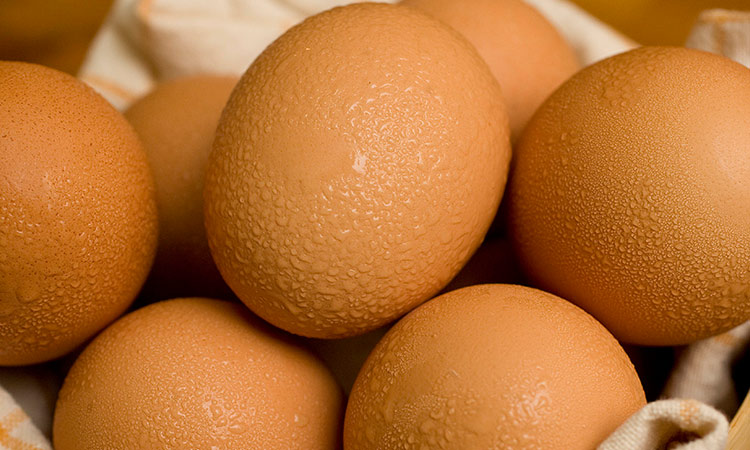 Eggs food 1