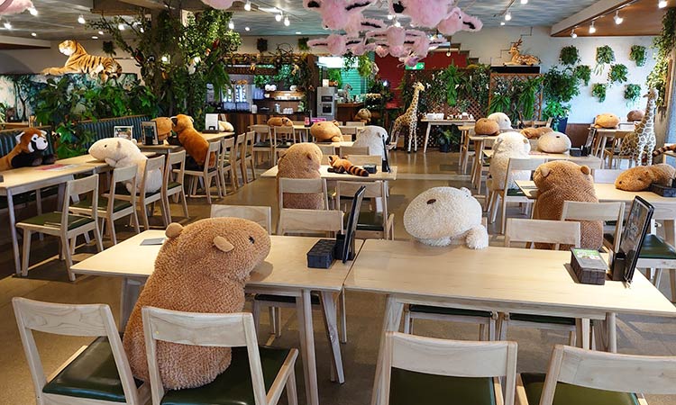 zoo-cafe