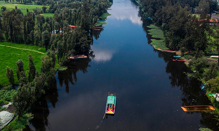 mexico's famous floating gardens reopen after virus
