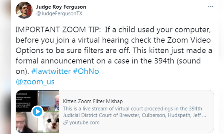 Kitten zoom 1