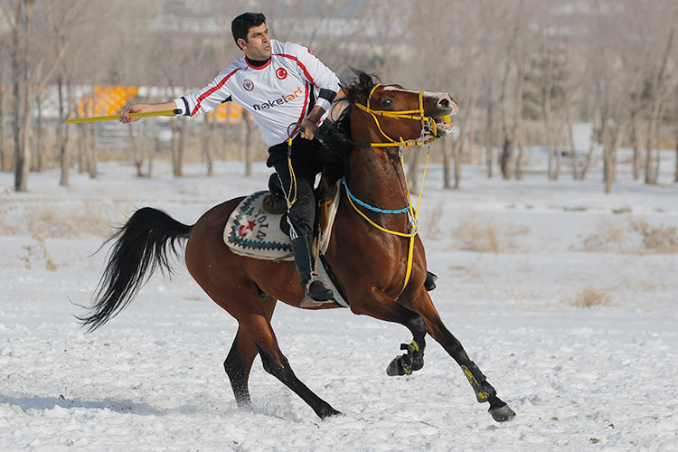 horserider 5