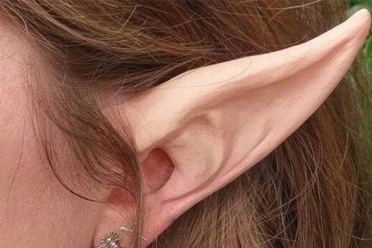 ear art 1