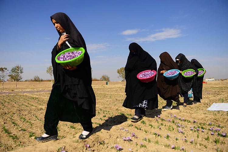 Afghan women 3