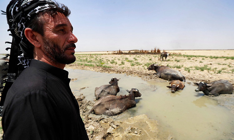 Iraq's Garden of Eden now 'like a desert' - GulfToday