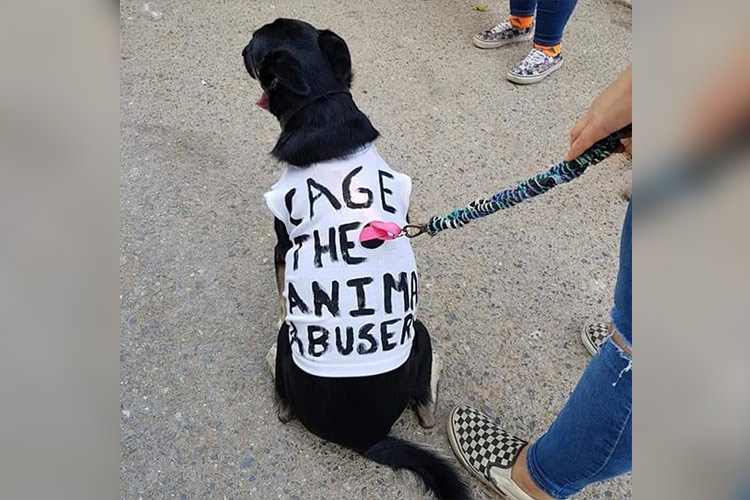 Dog-Pak-Protest