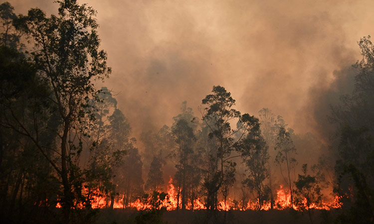 Australia-Bushfires-Nov10-main1-750