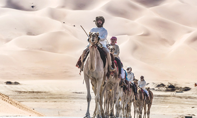 Camel-Desert