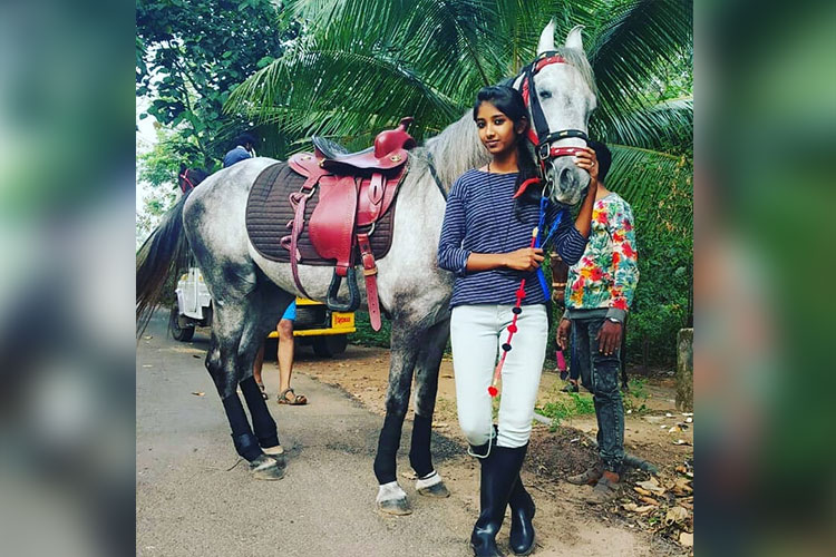Horse-Kerala