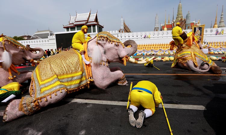 Elephants-March-Thailand2-750