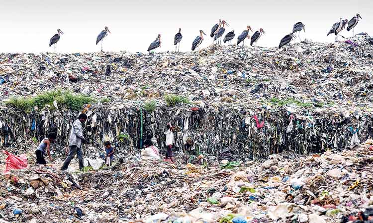 Rubbish-India