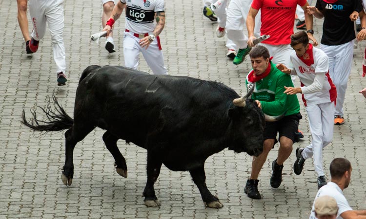 Bull-running-Slide1-750