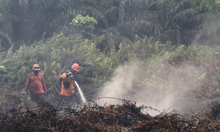 Indonesia_Forest_Fires_750