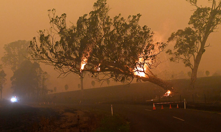 Australia-bushfire-Jan15-main1-750