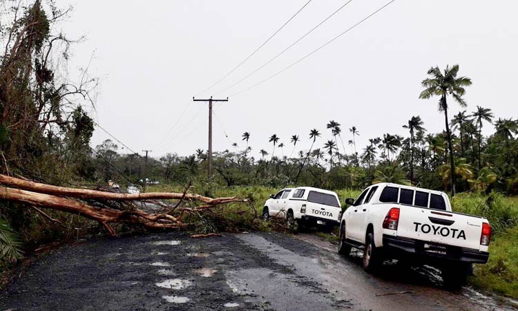 Fiji-Cyclone-Tree-Car