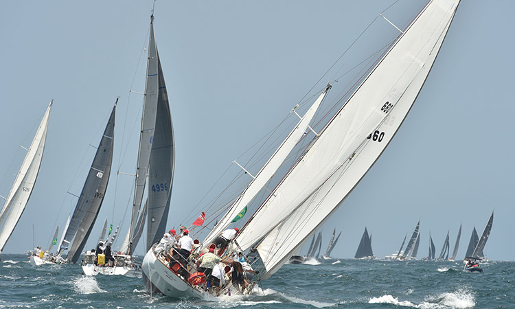 yacht-race-main1-750