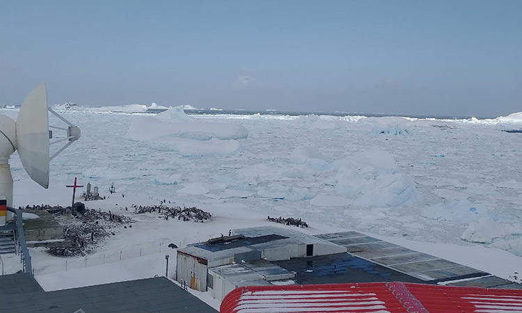 Antarctica-Dec23-main3-750