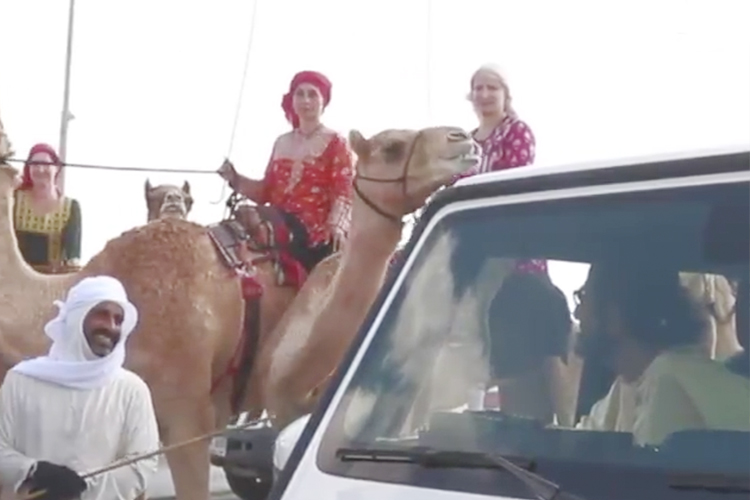 Mohammed-Tours-camel
