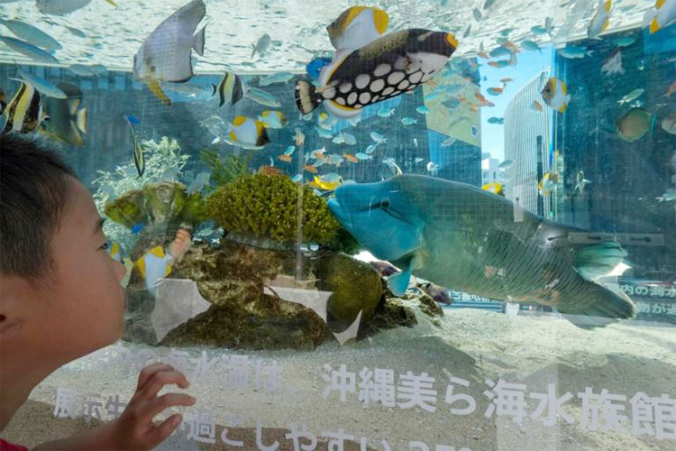 Japan-Aquarium