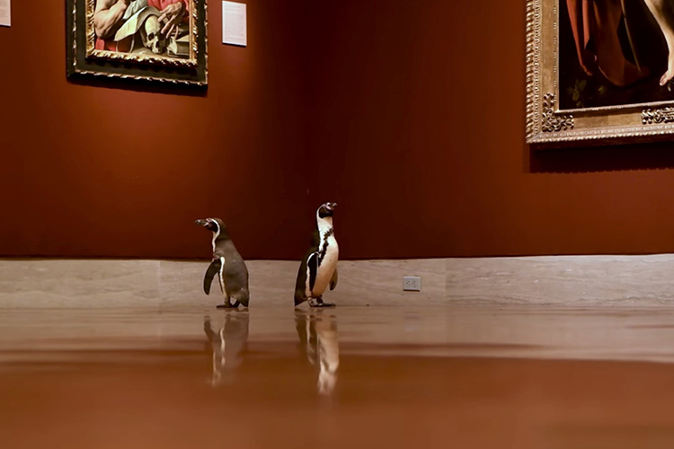 Penguins-at-museum-1-750x450