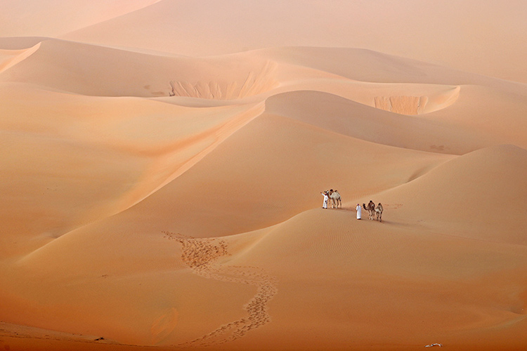 Desert-UAE-750